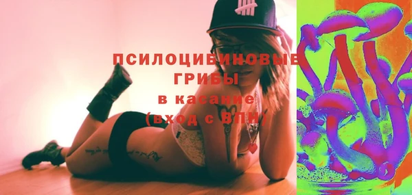 spice Осташков