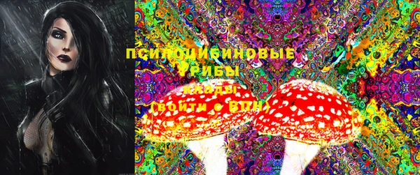 МДМА Няндома