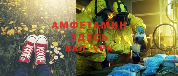 ГАЛЛЮЦИНОГЕННЫЕ ГРИБЫ Валуйки