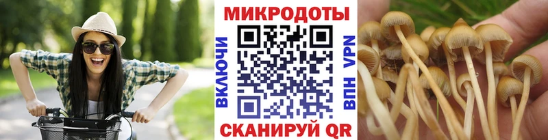 Псилоцибиновые грибы мухоморы  Тарко-Сале 